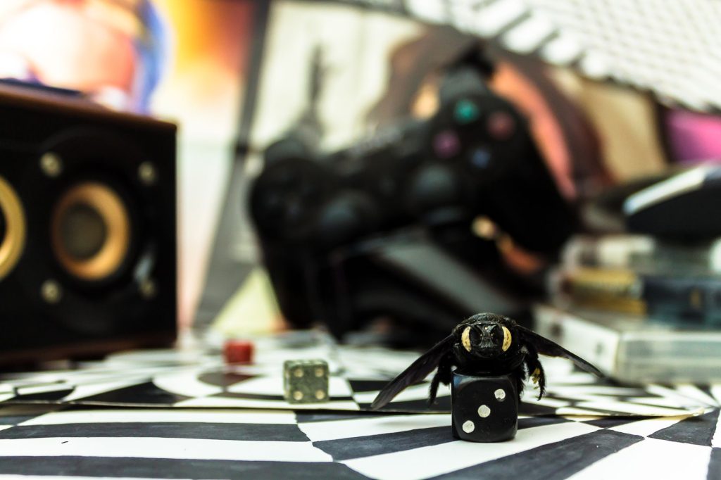 A bee perched on dice against a backdrop of gaming equipment, creating a surreal composition. — Beeg.con