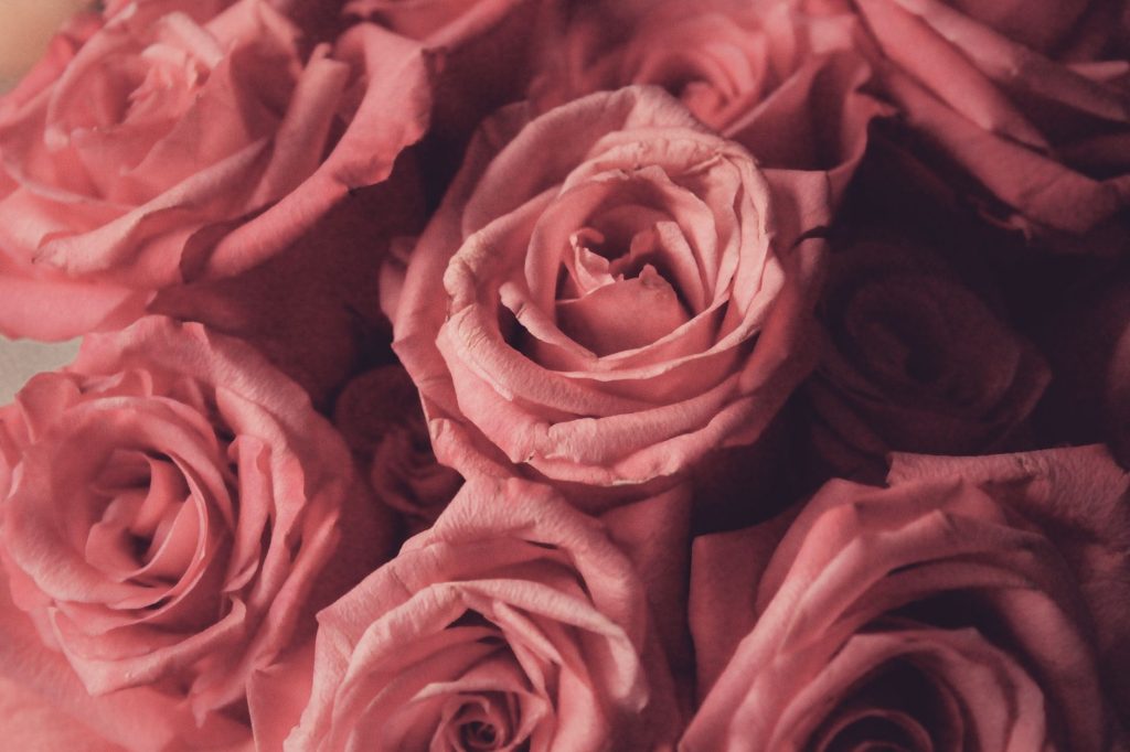 A close-up view of a beautifully arranged pink roses bouquet, perfect for romantic occasions. — Old Rose Color